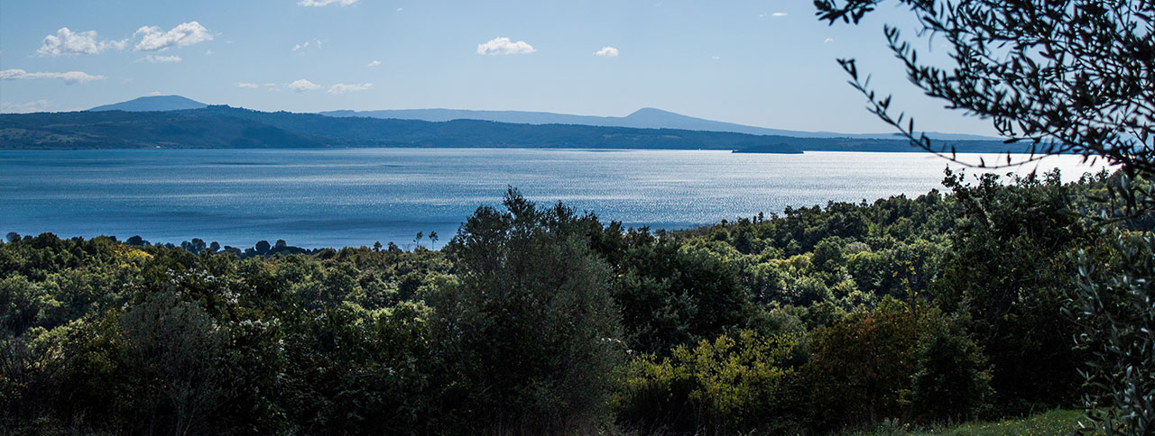 Bolsena (Costa del Pedone Societa Agricola Regazzano)